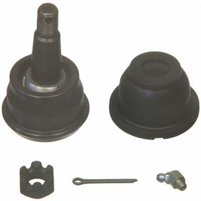 Hovedbilde BÆREKULE NEDRE GM 64-74